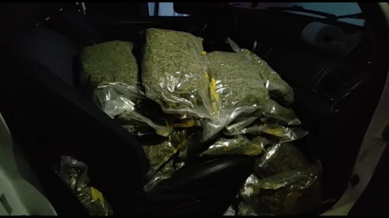 Foto 3 de 3 — Maconha: PM apreende grande quantidade no bairro Maria Luiza